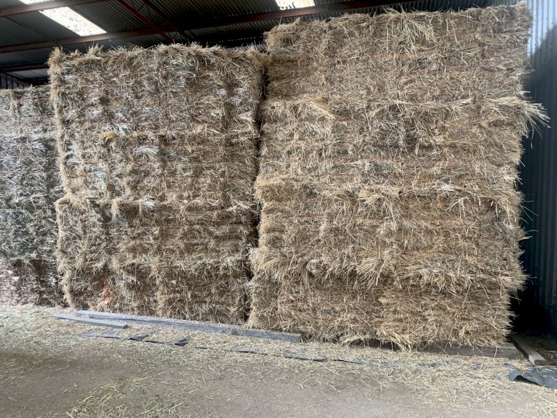 2000 Bales Grassy-Meadow Hay