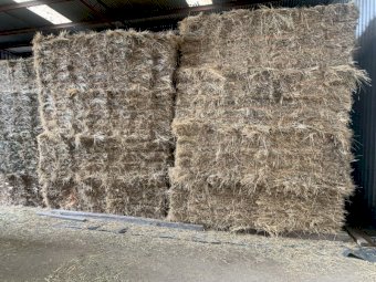 2000 Bales Grassy-Meadow Hay