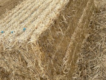 300mt Windrowed Wheaten Straw 470-480kg Bales