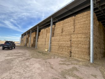 1000 mt Oaten Hay 24/25 Season