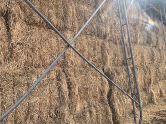 200MT Pasture Hay 8X4X3 Large Square Bales