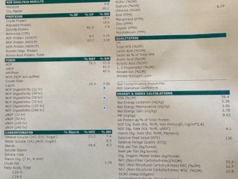 200mt Vetch Hay 8x4x3 Bales