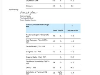 100 mt Feed Triticale