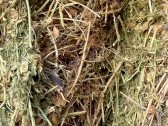 100mt Lentil Hay 650kg 8x4x3 Bales