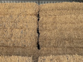 200mt Wheaten Hay 650kg 8x4x3 Bales