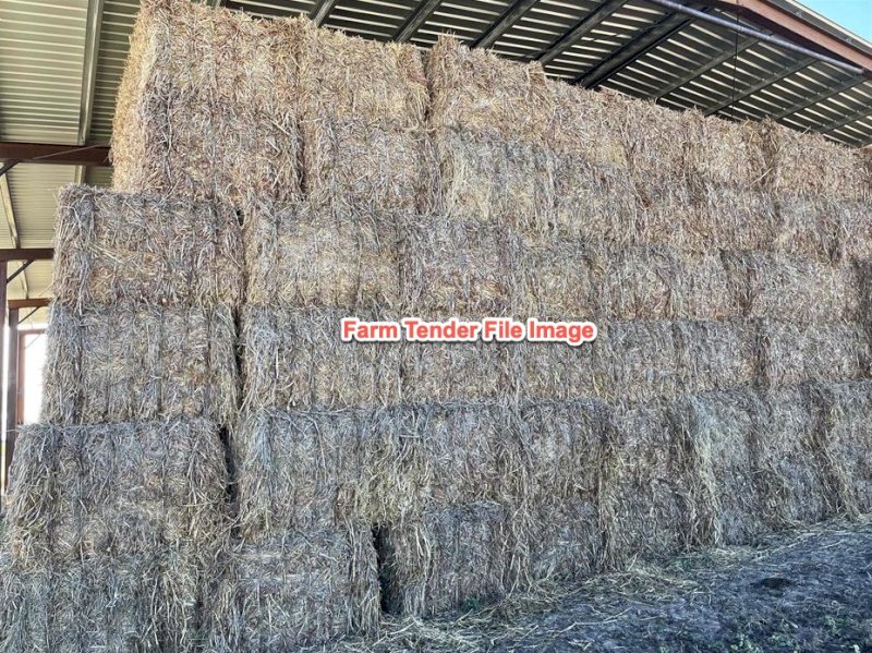 WANTED Wheaten or Barley Straw Central NSW and further North