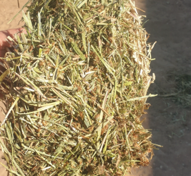 170mt Clover Hay 670kg 8x4x3 Bales