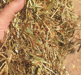 170mt Clover Hay 670kg 8x4x3 Bales