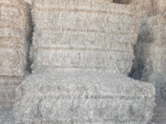 170mt Clover Hay 670kg 8x4x3 Bales