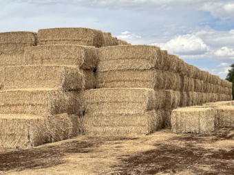 Wheaten Straw 450kg 8x4x3 Bales