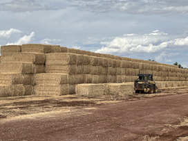 Wheaten Straw 450kg 8x4x3 Bales