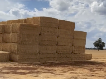 Wheaten Straw 450kg 8x4x3 Bales