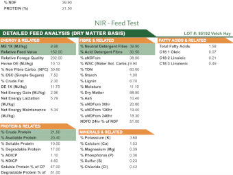 24' Season Vetch Hay 8x4x3 Bales