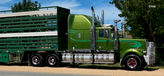 2003 Western Star 4900EX  Prime Mover