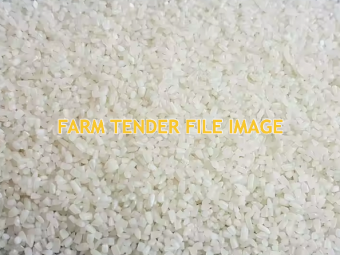 50mt Rice and Grains for Animal Feed