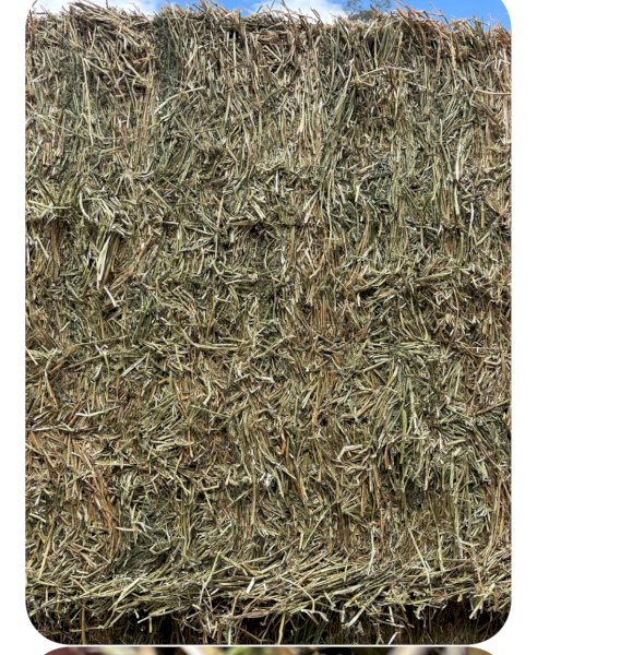 175mt Lucerne Hay 580kg 8x4x3 Bales