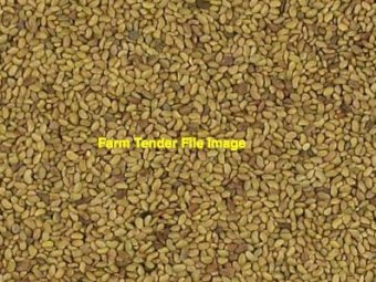 1000kg Lucerne Seed