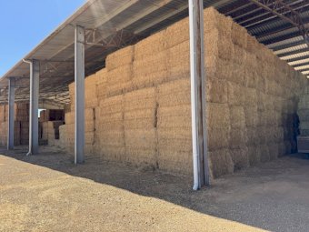 220mt Lucerne Hay 600kg 8x4x3 Bales