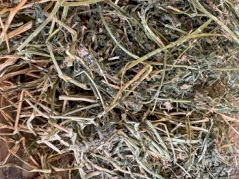 220mt Lucerne Hay 600kg 8x4x3 Bales