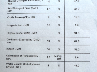 50mt Lucerne Hay 600kg 8x4x3 Bales