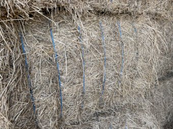 50mt Lucerne Hay 600kg 8x4x3 Bales