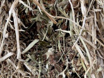 250mt Clover Hay 650kg 8x4x3 Bales