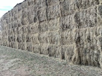 250mt Clover Hay 650kg 8x4x3 Bales