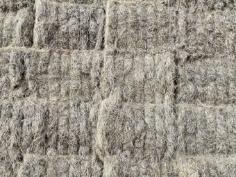 250mt Clover Hay 650kg 8x4x3 Bales