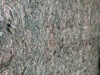 200mt Lucerne Hay 650kg 8x4x3 Bales