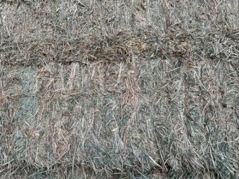 200mt Lucerne Hay 650kg 8x4x3 Bales