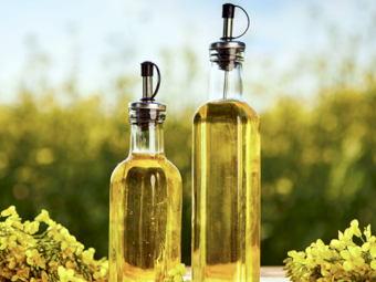 CANOLA SEED (SPRING) - Exclusive High Volume Discount Offer