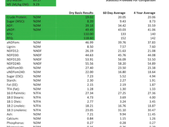 175mt Lucerne Hay 580kg 8x4x3 Bales
