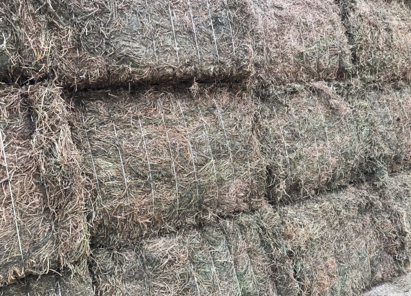 100mt Vetch Hay 640kg 8x4x3 Bales