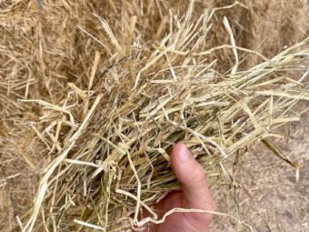 70mt Oaten Rye Hay 550kg 8x4x3 Bales