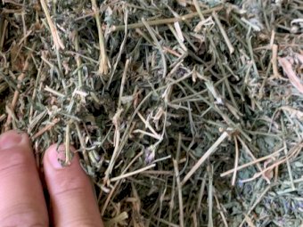 Lucerne and Millet Hay