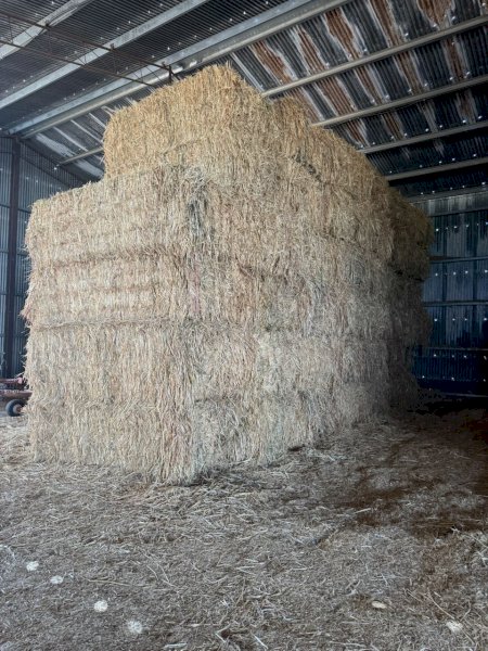 27mt Oaten Hay 600kg 8x4x3 Bales