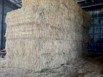 27mt Oaten Hay 600kg 8x4x3 Bales
