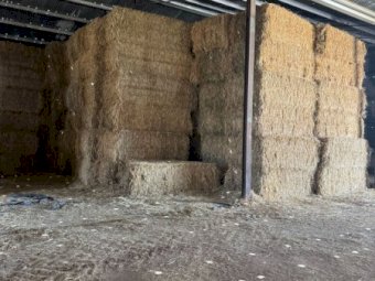 110mt Wheaten Hay 600kg 8x4x3 Bales