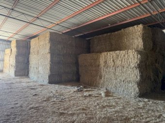 80mt Millet Straw 500kg 8x4x3 Bales
