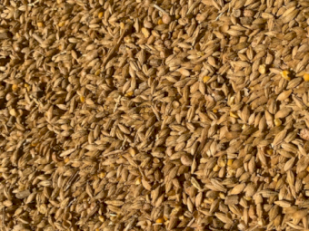 Gilded River Lamb Finisher 16%