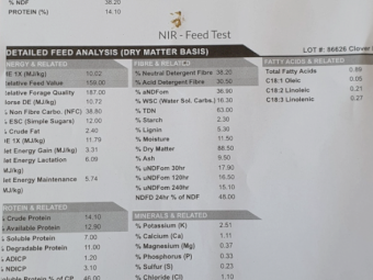 110mt Clover Hay 650kg 8x4x3 Bales