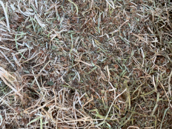 64mt Clover Hay 500kg 8x4x3 Bales