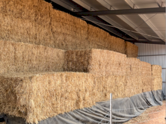 64mt Clover Hay 500kg 8x4x3 Bales