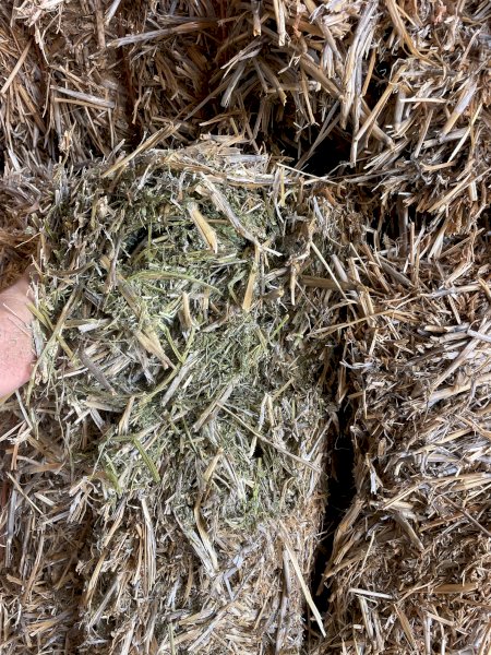 2024 Season Vetch Hay