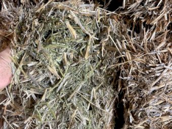 2024 Season Vetch Hay