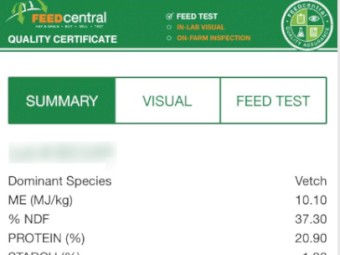 80mt Vetch Hay 650kg 8x4x3 Bales