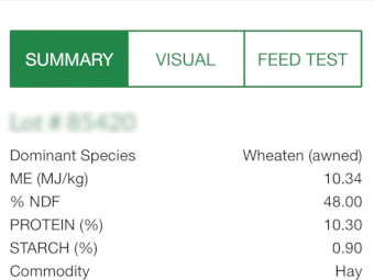 75mt Wheaten Hay 600-650kg 8x4x3 Bales