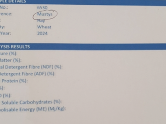 100mt Wheaten Hay 600kg 8x4x3 Bales