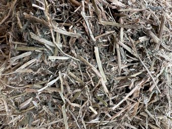 24 Season Shedded Vetch Hay