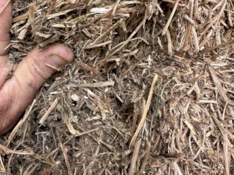 24 Season Shedded Vetch Hay